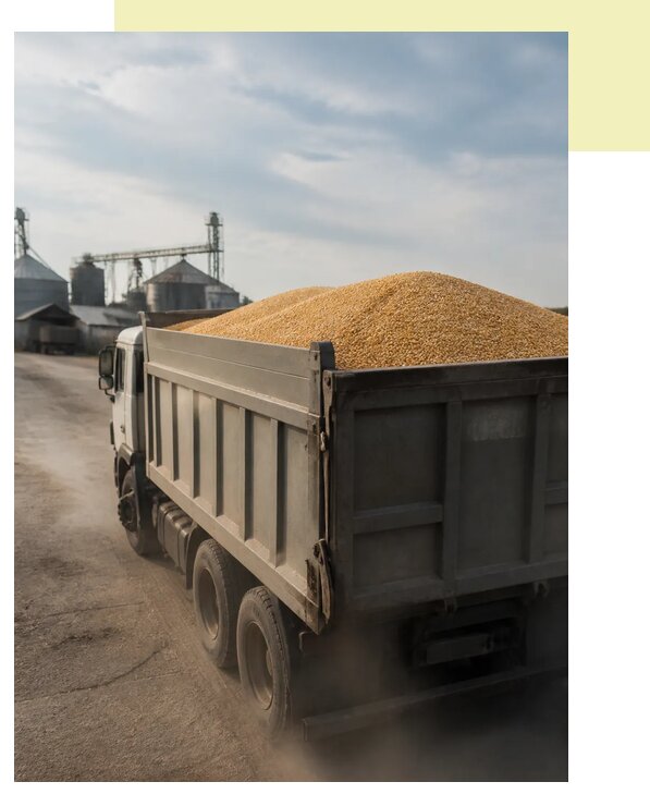 Перевозка сельхозпродукции навалом в Саяногорск по цене от 3073 р. | Агросервис-Снг