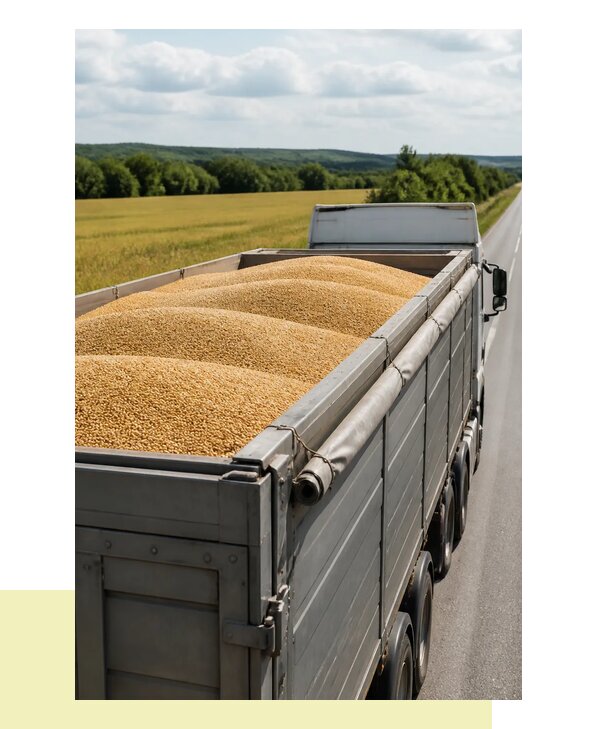 Перевозка ячменя автомобильным транспортом в Саяногорск